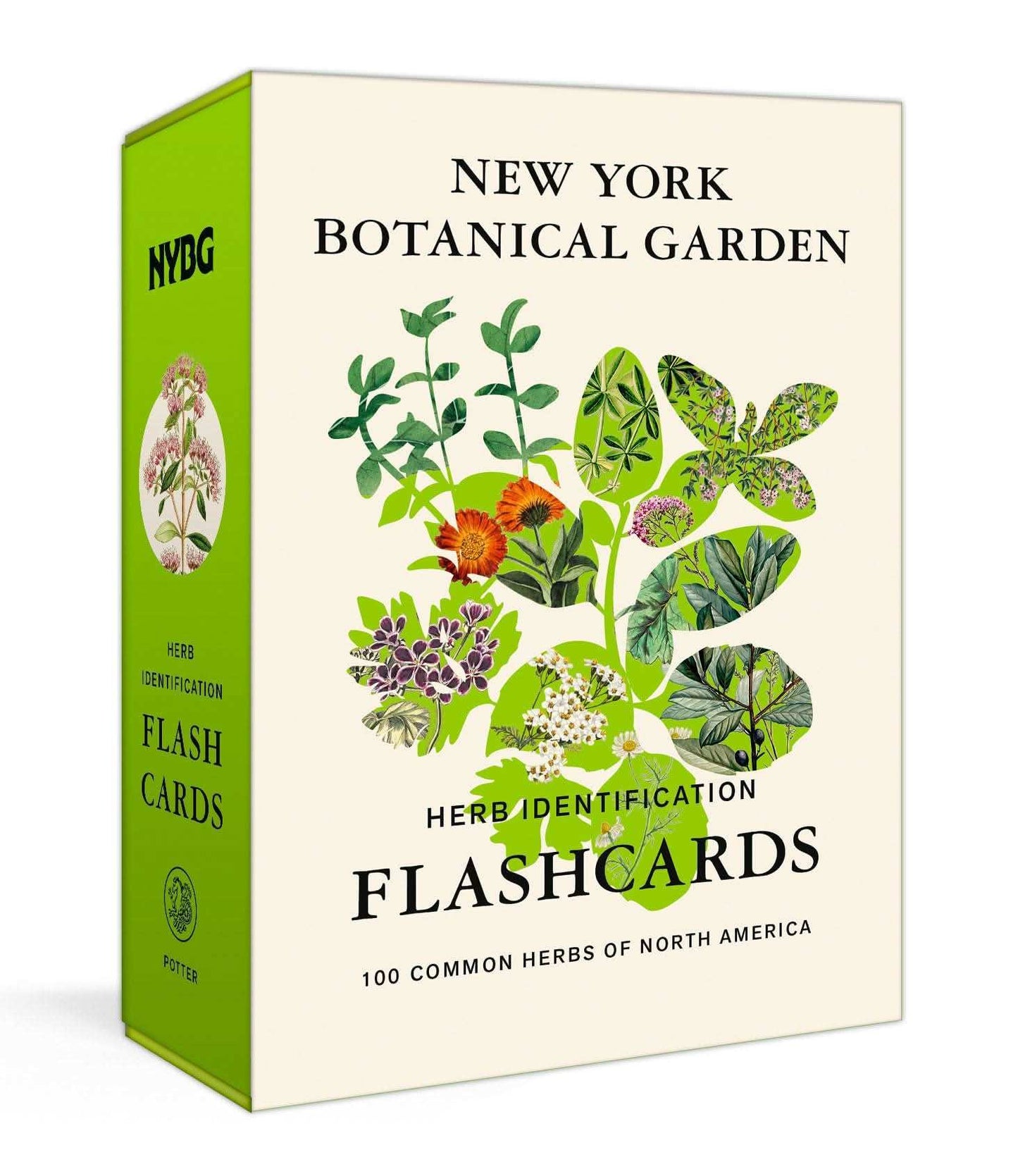 New York Botanical Garden Herb Identification Flashcards: 100 Common Herbs Of North America