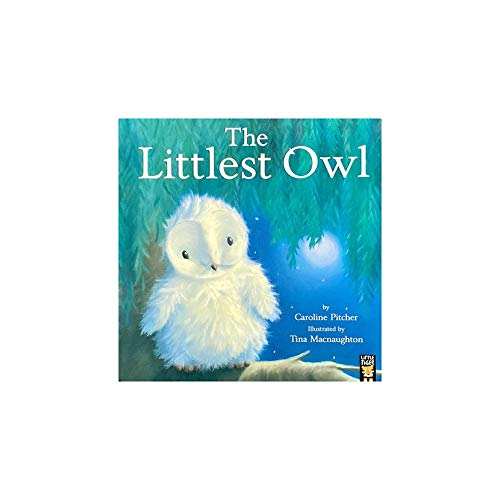 The Littlest Owl