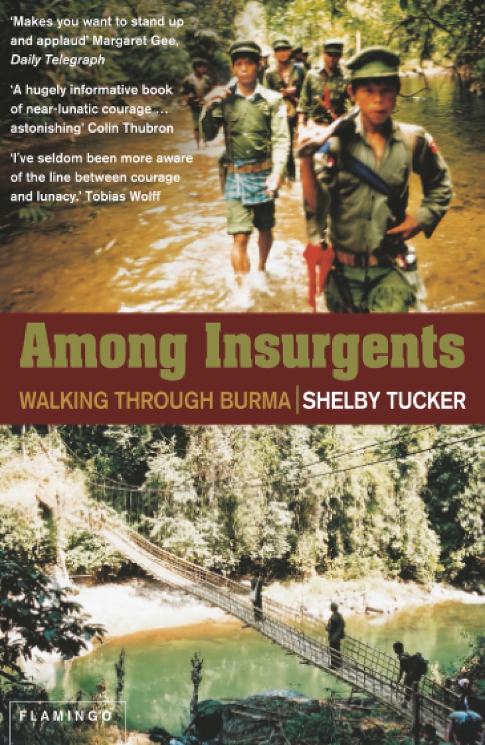 Among Insurgents