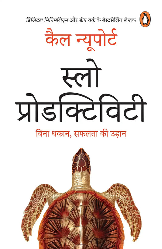 Slow Productivity (Hindi)