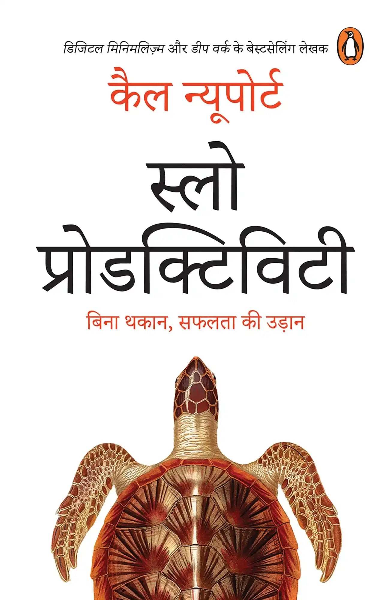 Slow Productivity (Hindi)