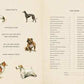 Vintage Dogs