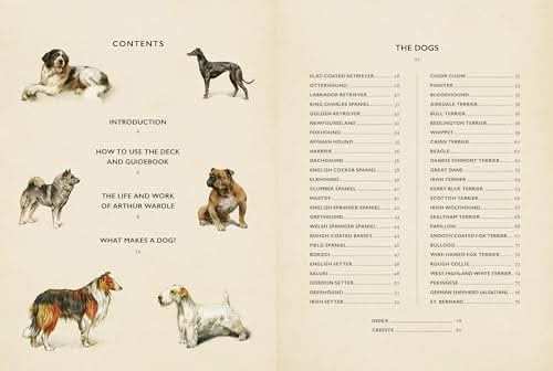 Vintage Dogs