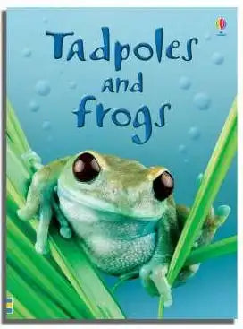 Tadpoles And Frogs