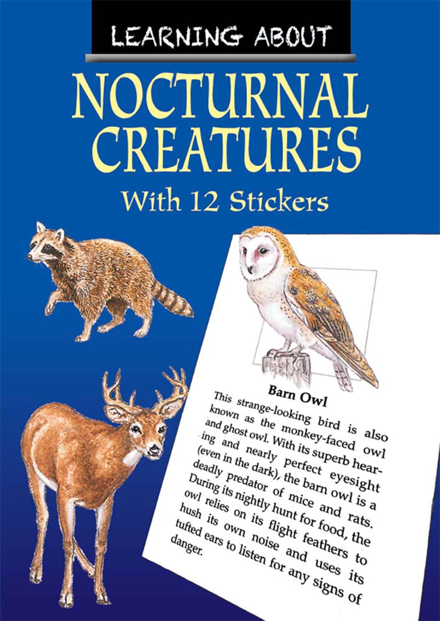 Learning About Nocturnal Creatures