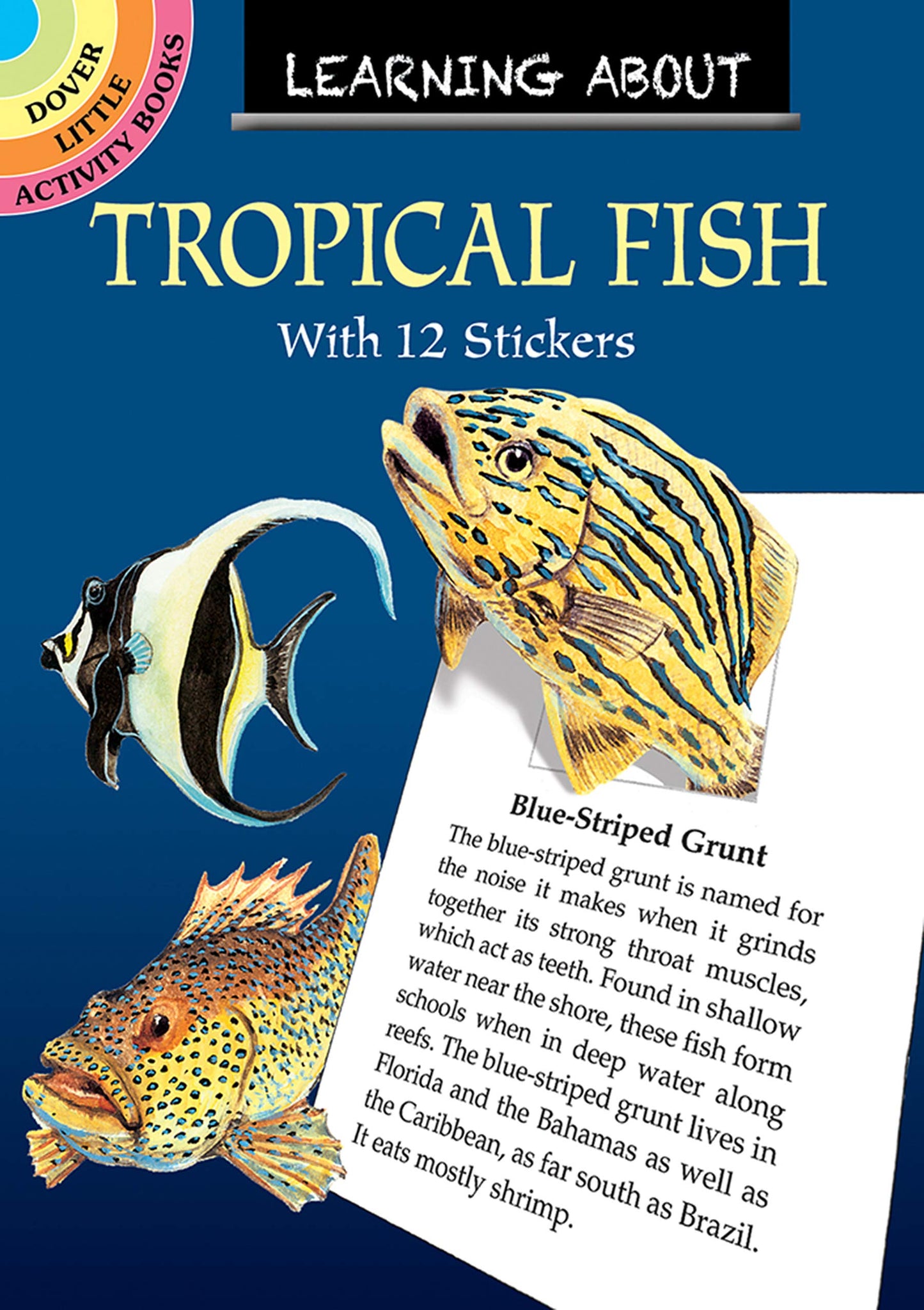 Learning About Tropical Fish