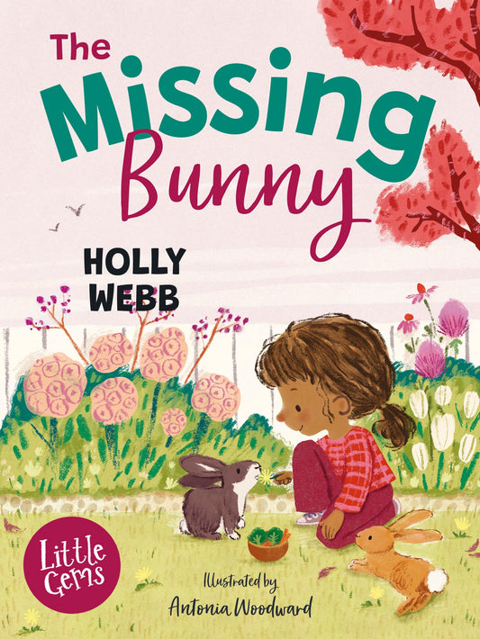 Bs 5+ Little Gems - The Missing Bunny