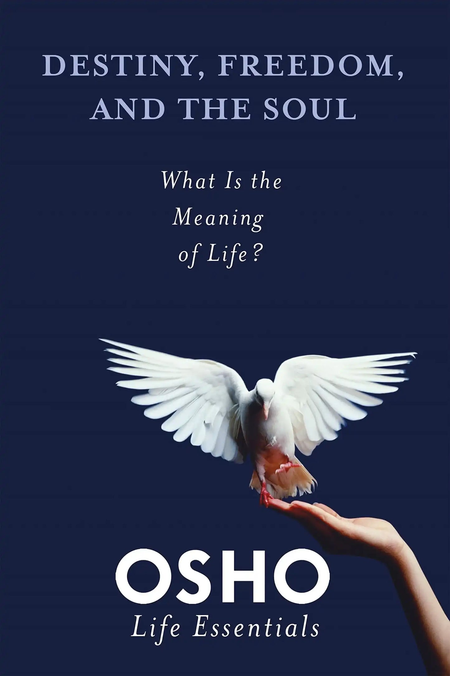 Destiny, Freedom, And The Soul
