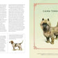 Vintage Dogs