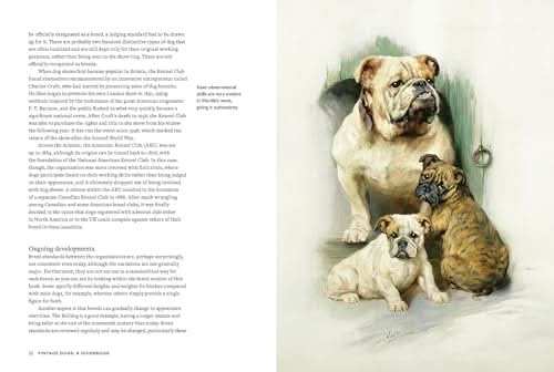 Vintage Dogs