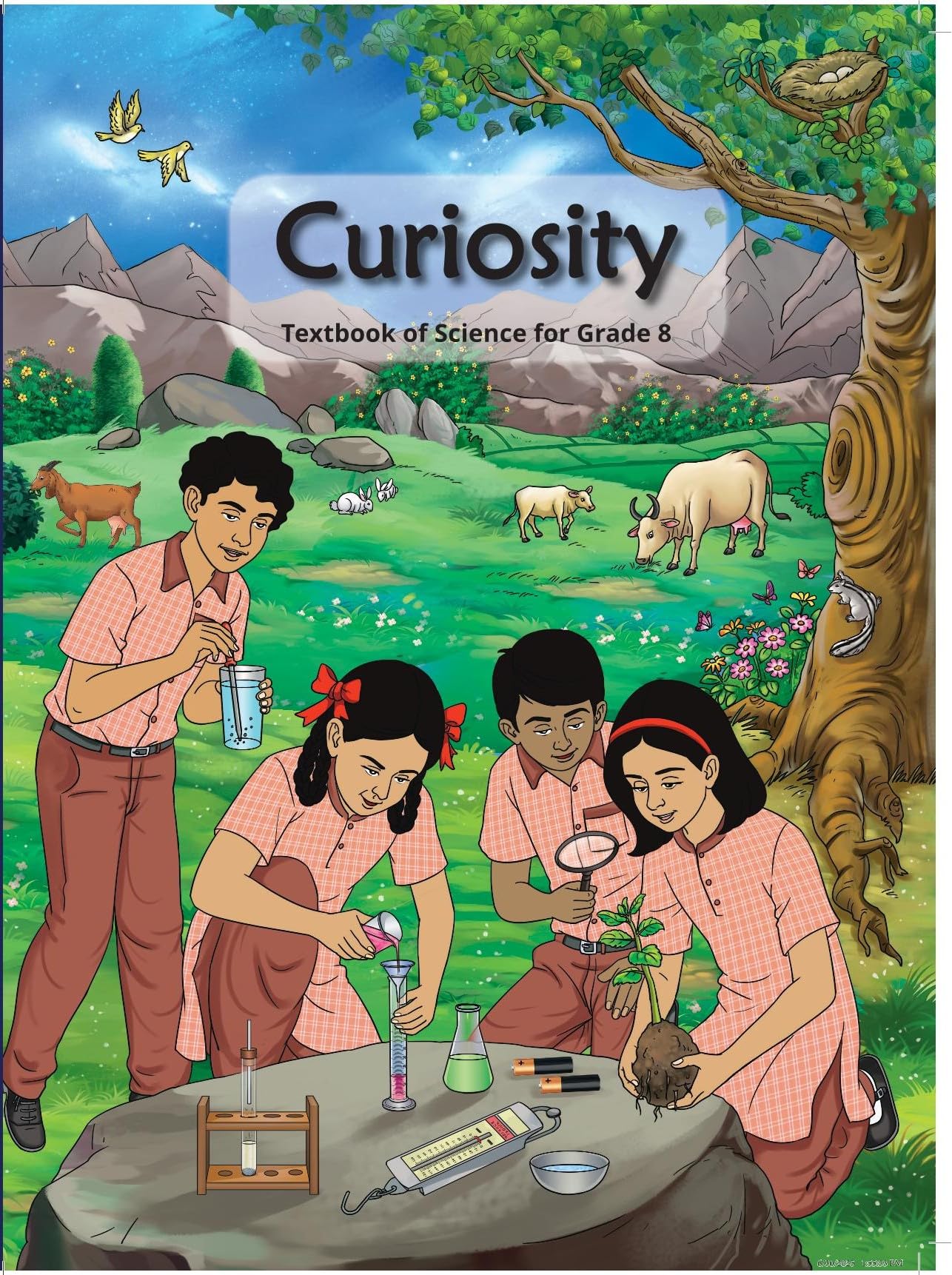 Curiosity - 8