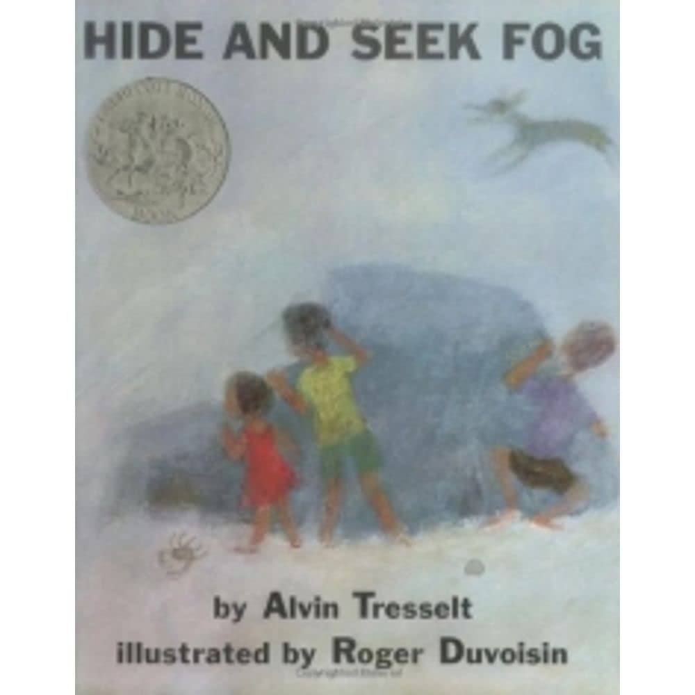Hide And Seek Fog