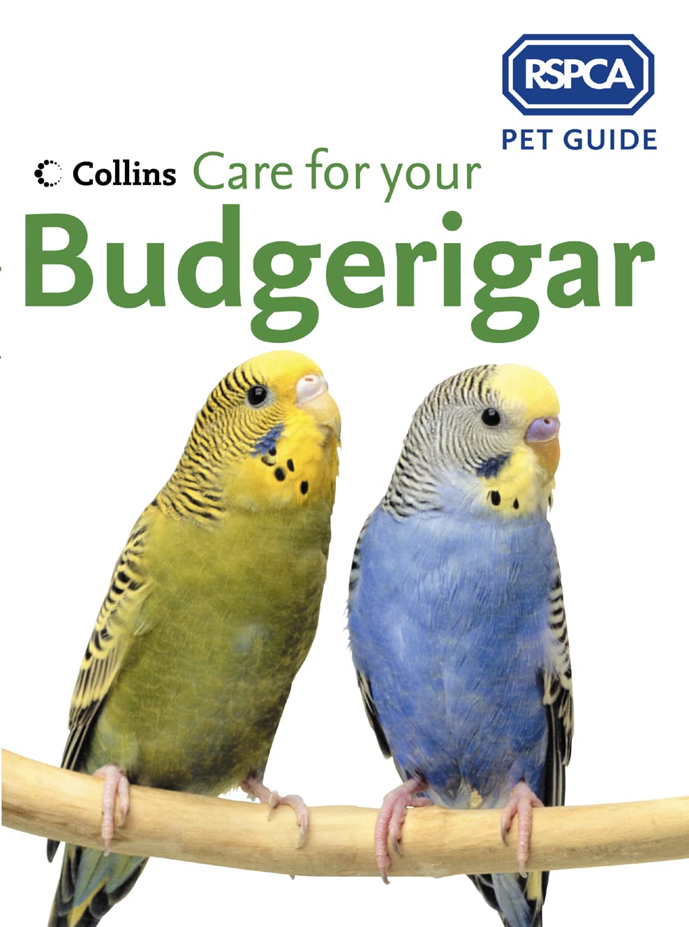 Rspca Budgerigar Ne Pb