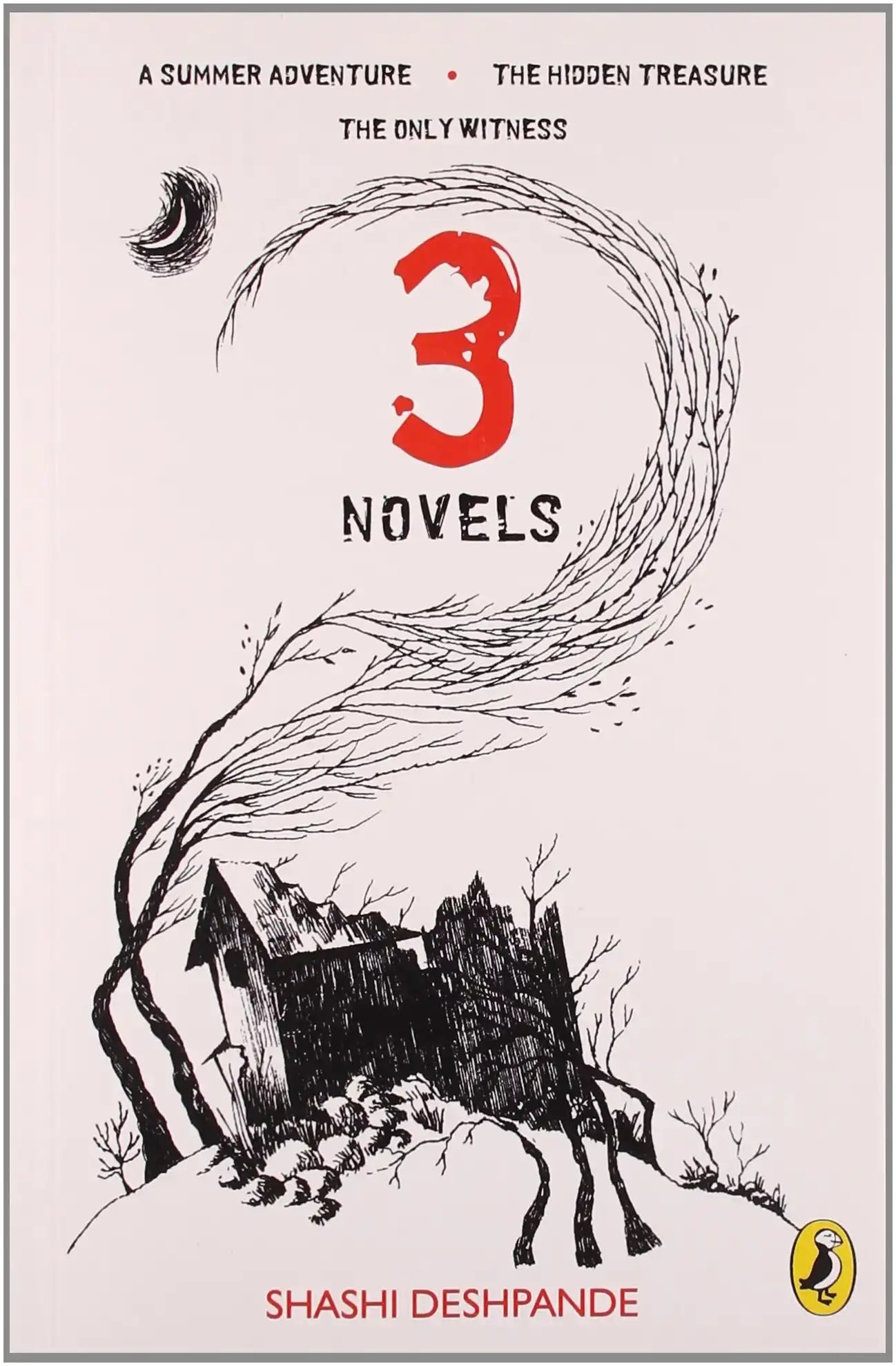 3 Novels : A Summer Adventure, The Hidden Treasure, The Only Witness
