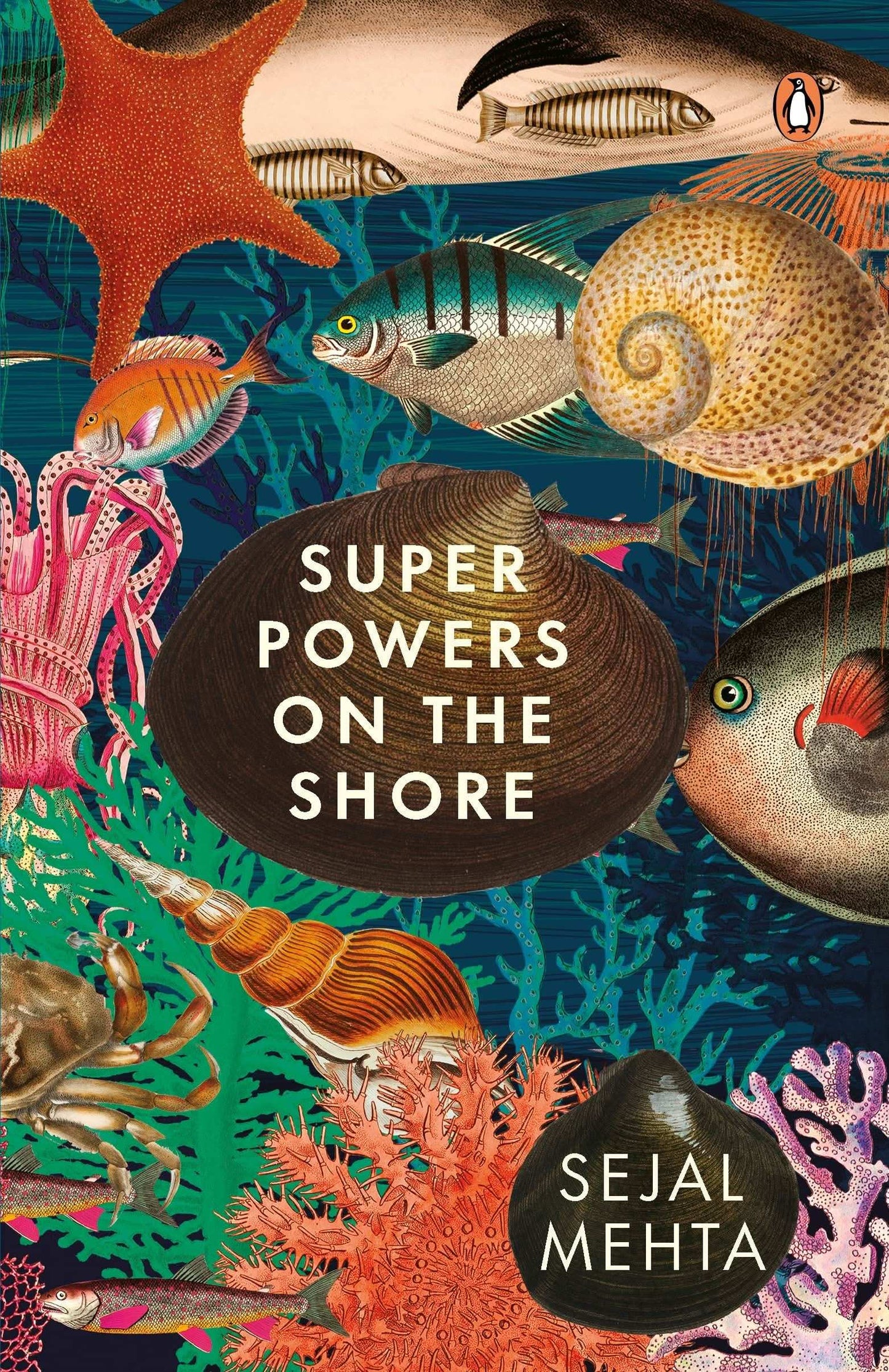 Superpowers On The Shore