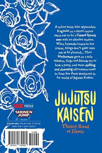 Jujutsu Kaisen Novel V2
