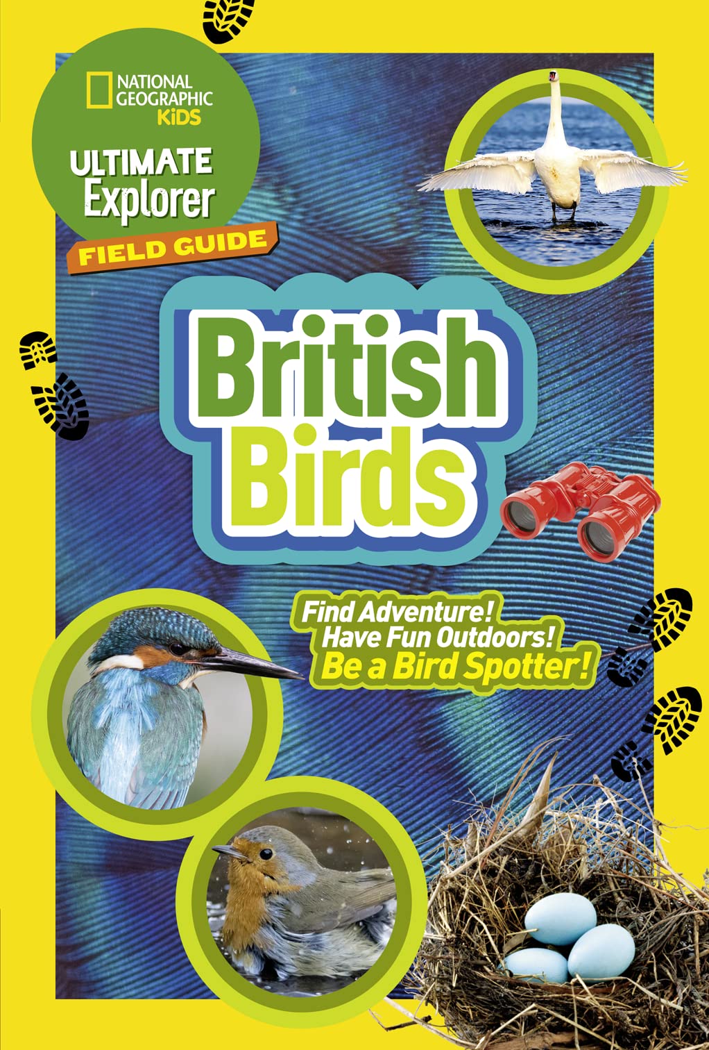 Ng Kids — Ultimate Explorer Field Guides British Birds: Find