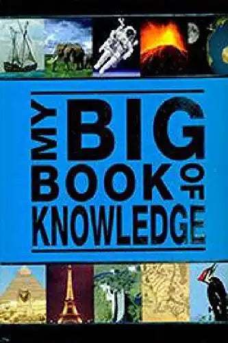 My Big Book Of Knowledge Wilco