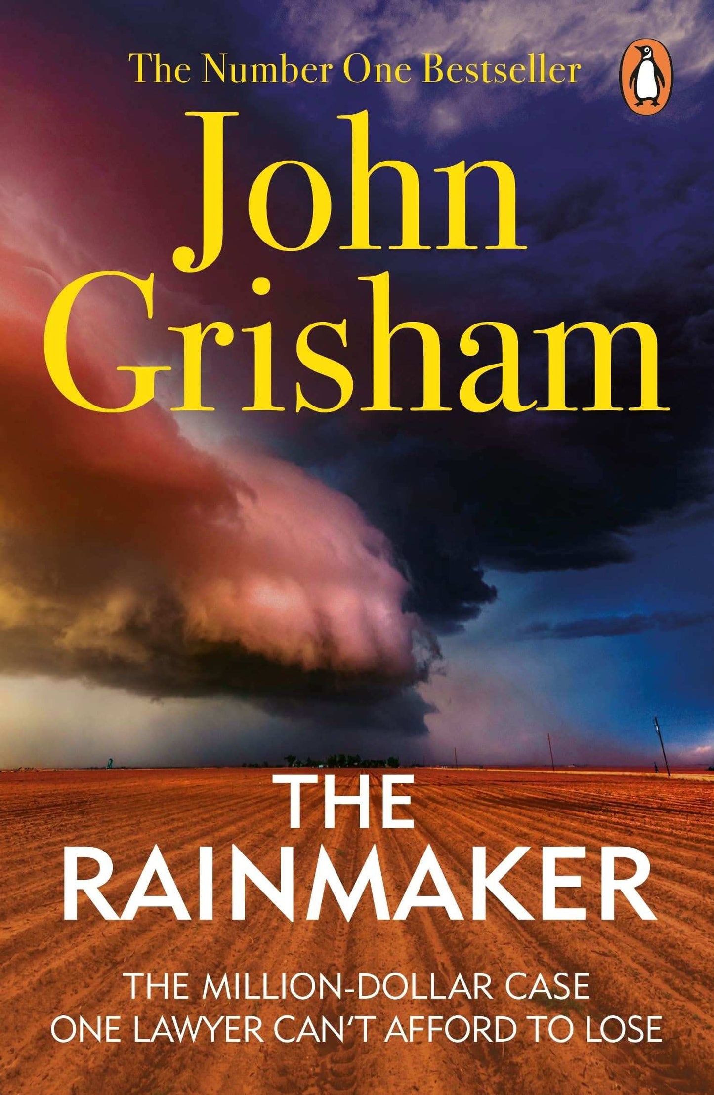 Rainmaker, The