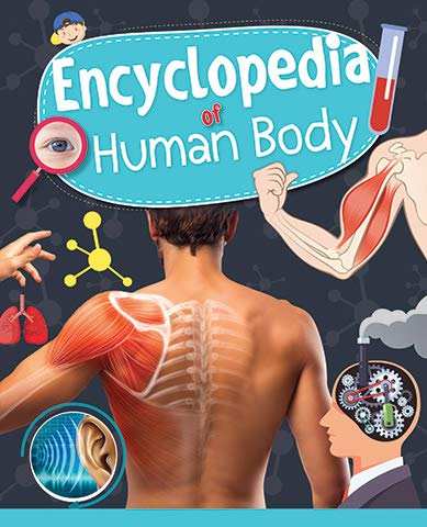 Encyclopedia Of Human Body