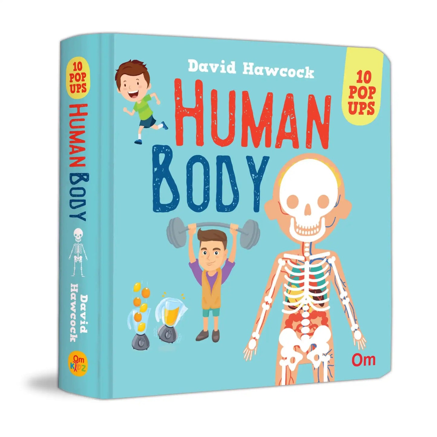 Pop Up Human Body