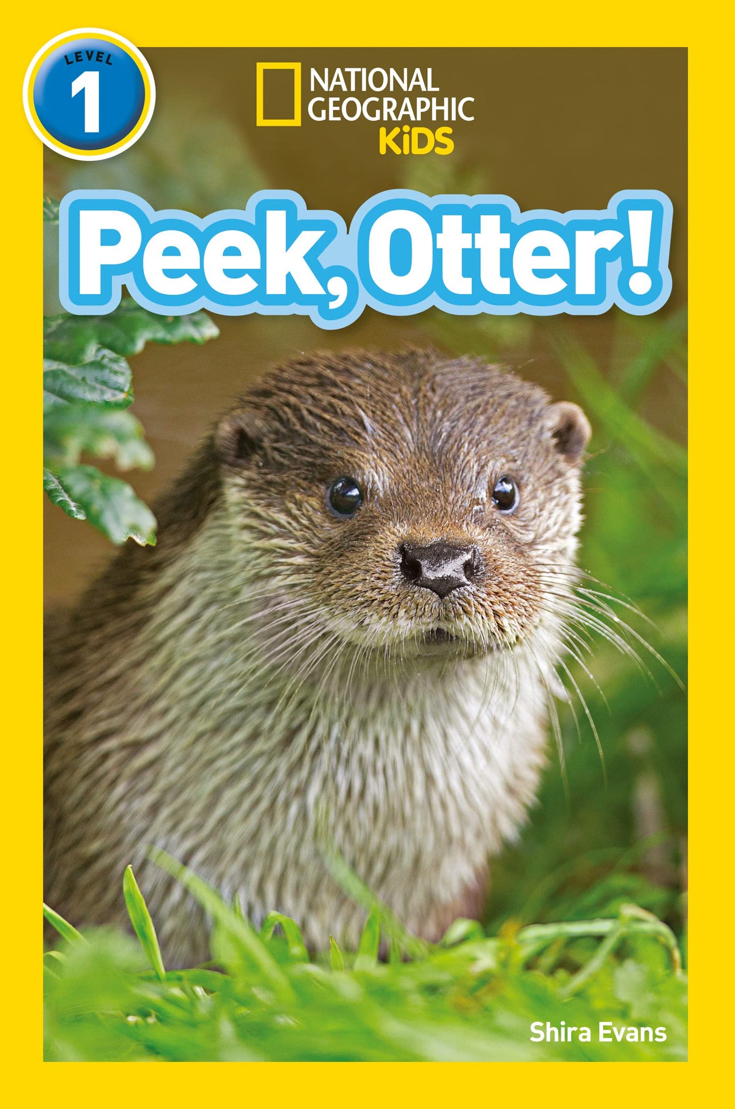 National Geographic Readers- Peek, Otter]