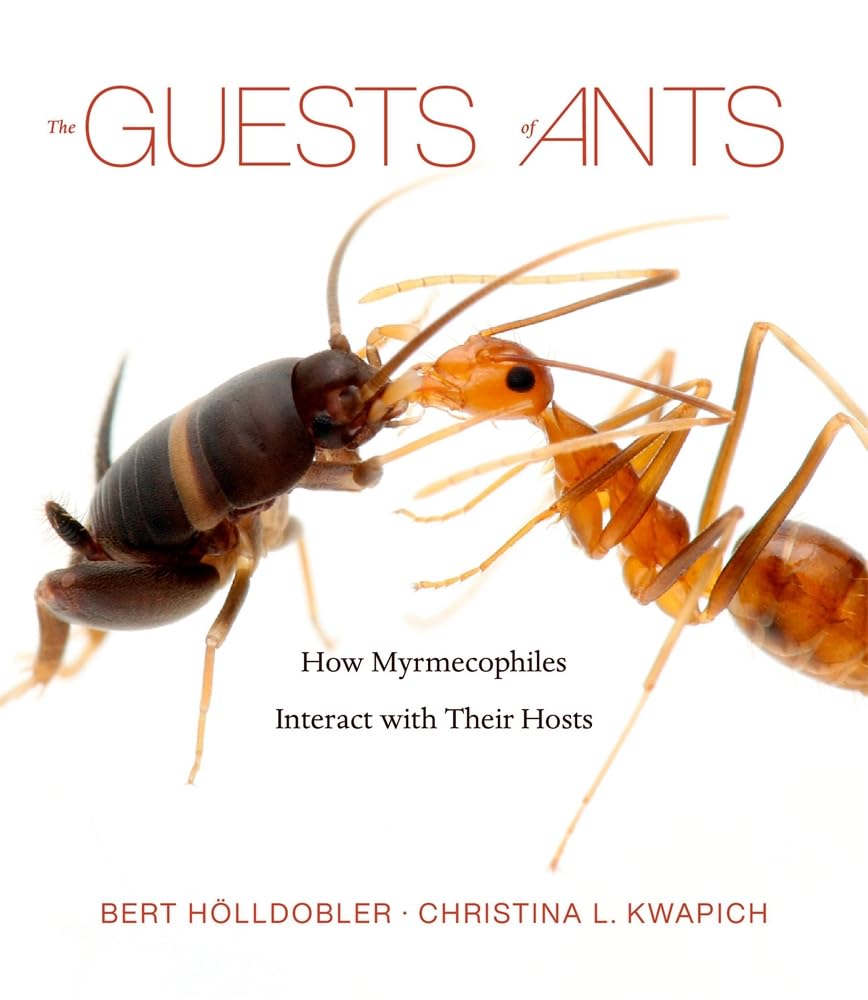 The Guests Of Ants: How Myrmecophiles Interact With Their Ho