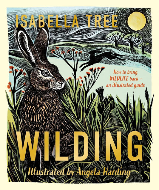 Wilding: An Illustrated Guide To Letting Nature Back In