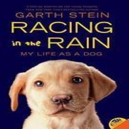 Racing In The Rain