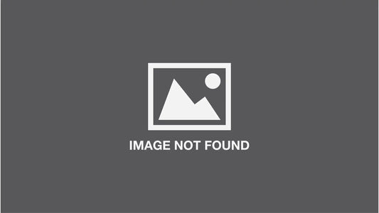 Finding Dora Book & Cd