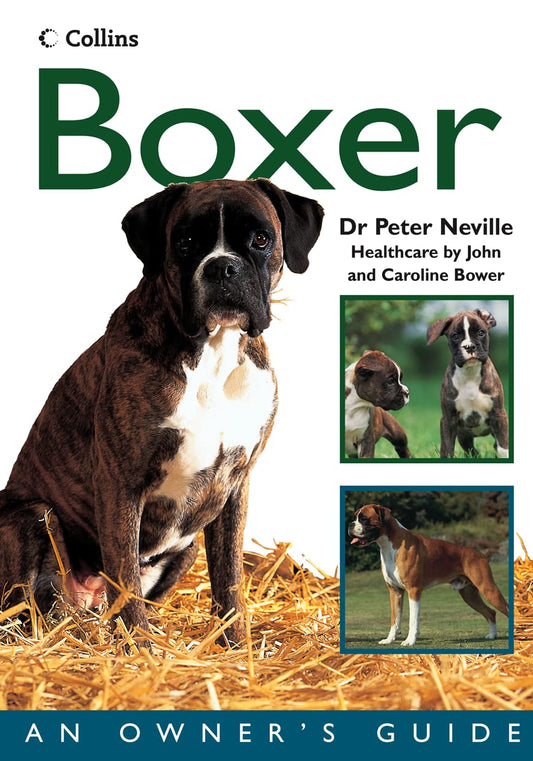 Dog Owner'S Guide Boxer Pb