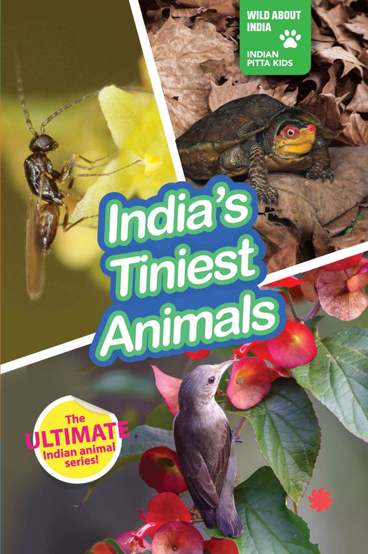 India'S Tiniest Animals