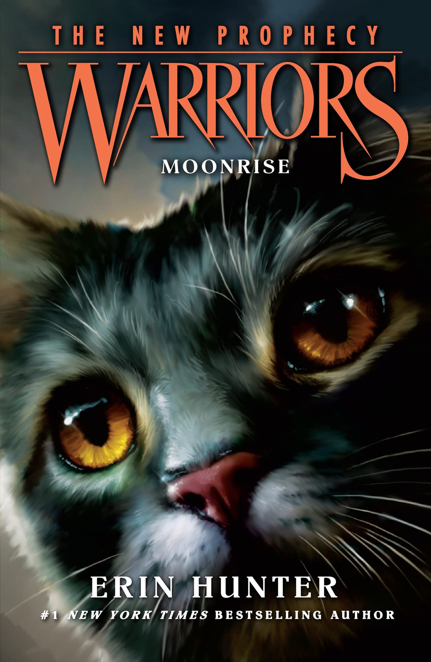 Warriors : New Prophecy - Moonrise
