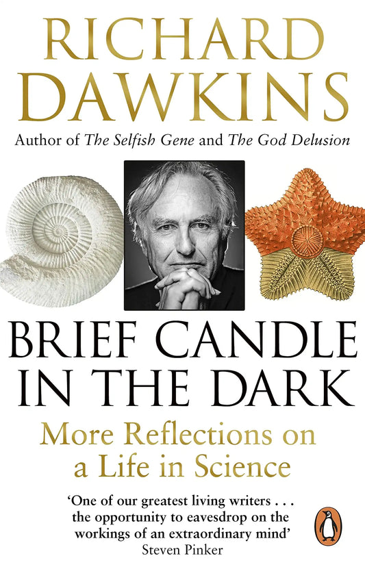 Brief Candle In The Dark (Lead Title)
