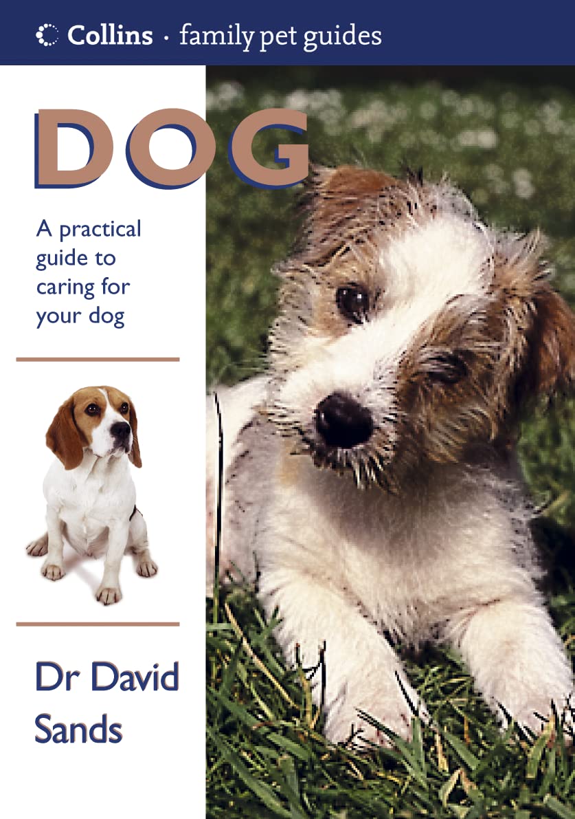 Family Pet Guides Dog