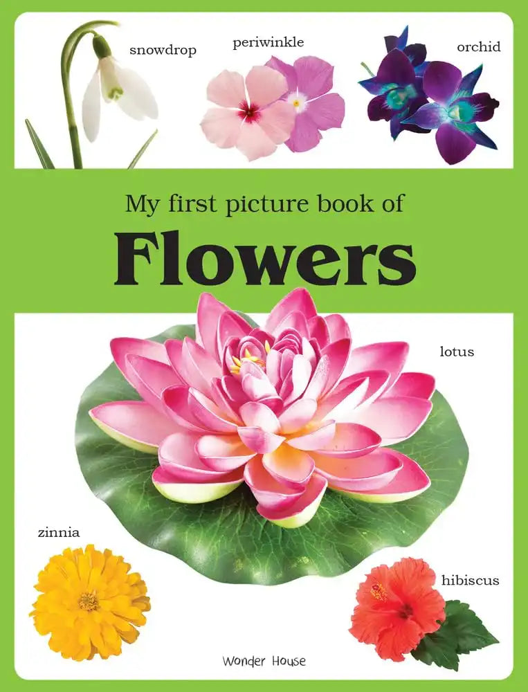 My First Picture Book Of Flowers: Picture Books For Children