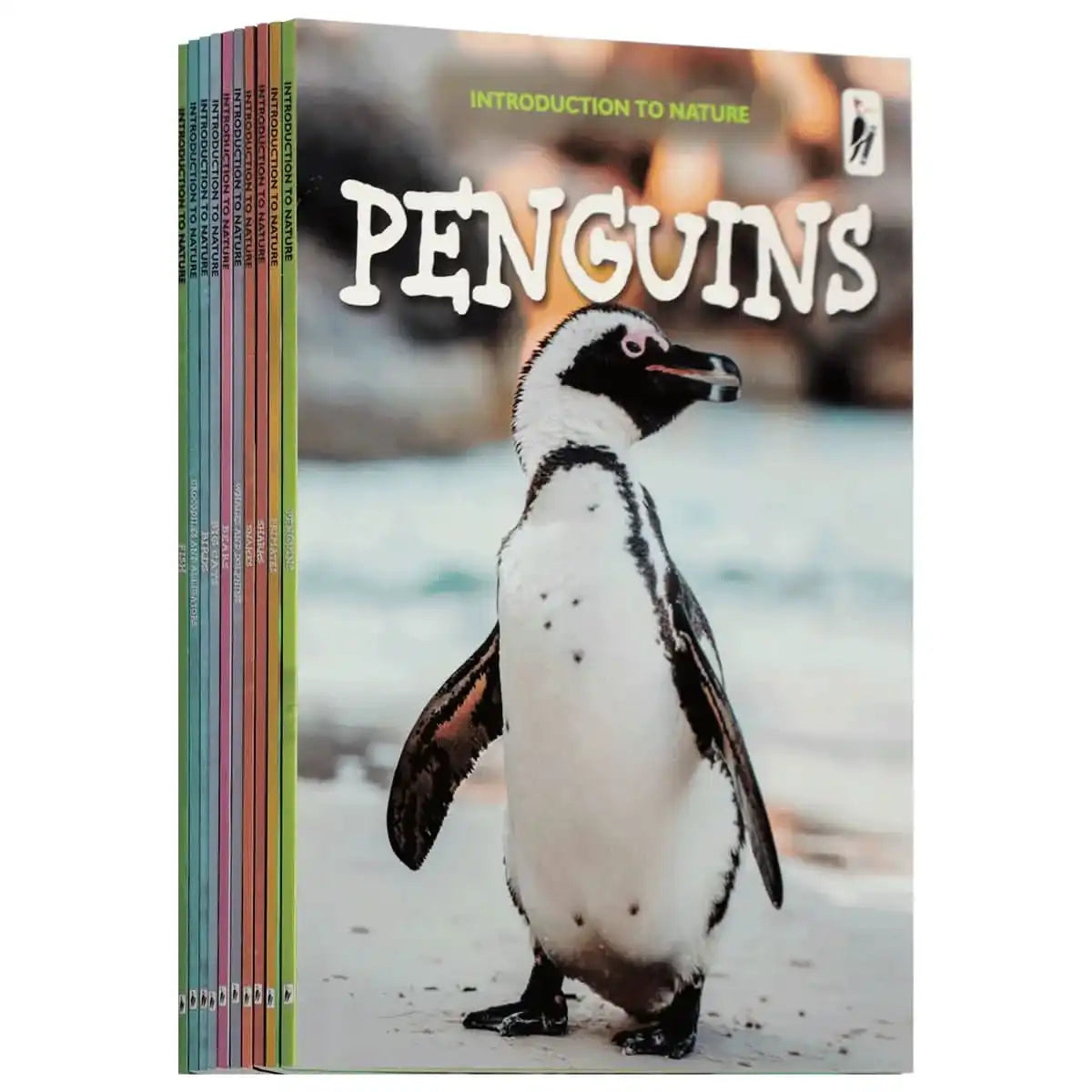 Box Set Introduction To Nature