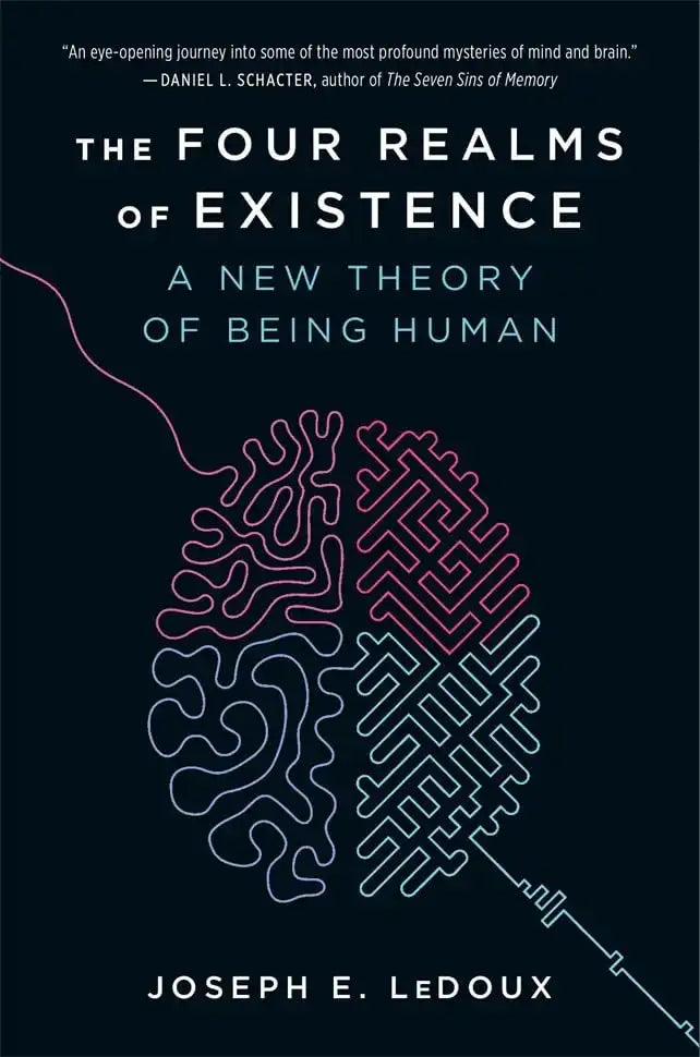 The Four Realms Of Existence