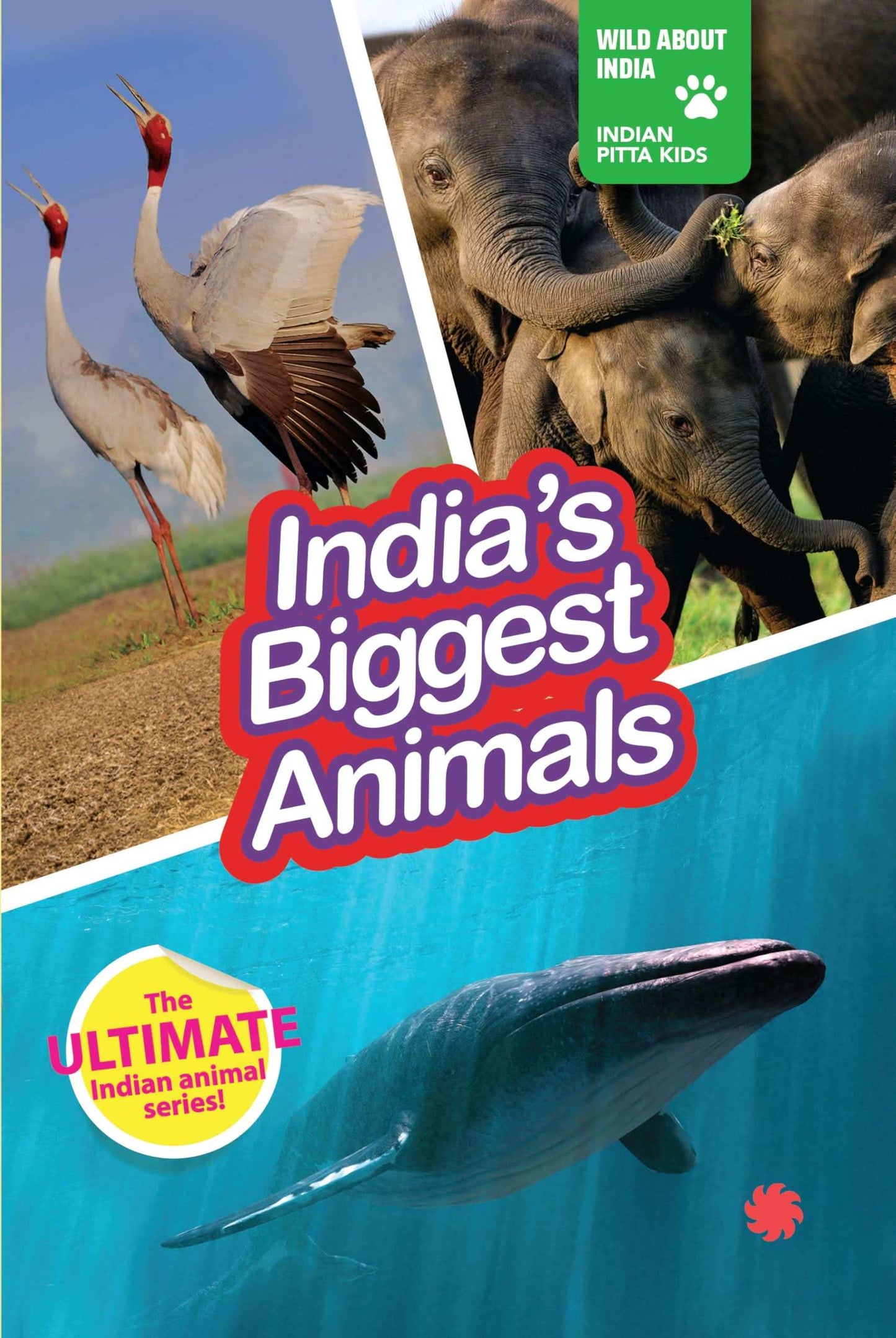 India'S Biggest Animals