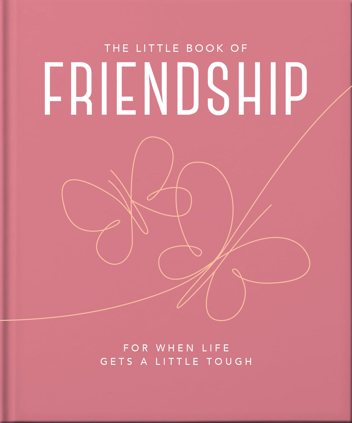 Little Book Of Friendship