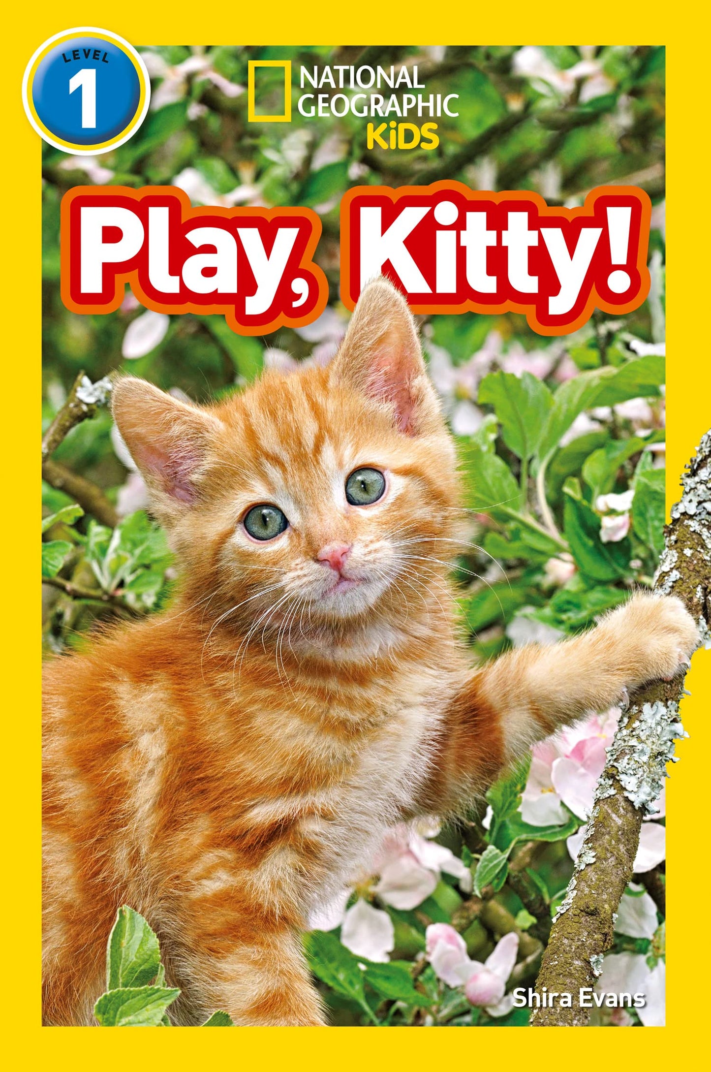 National Geographic Readers- Play, Kitty]