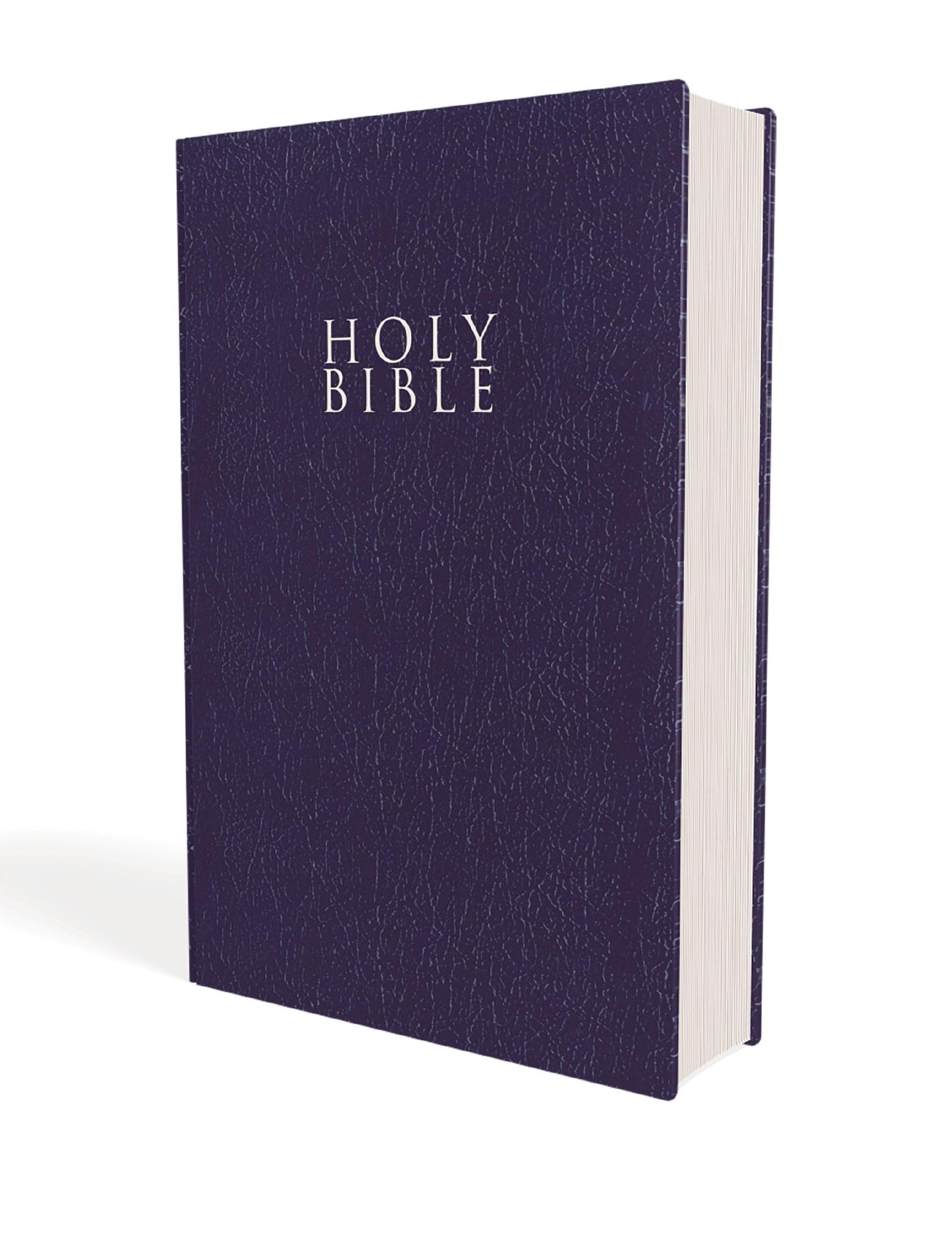 Niv, Gift And Award Bible, Leather-Look, Blue, Red Letter, C
