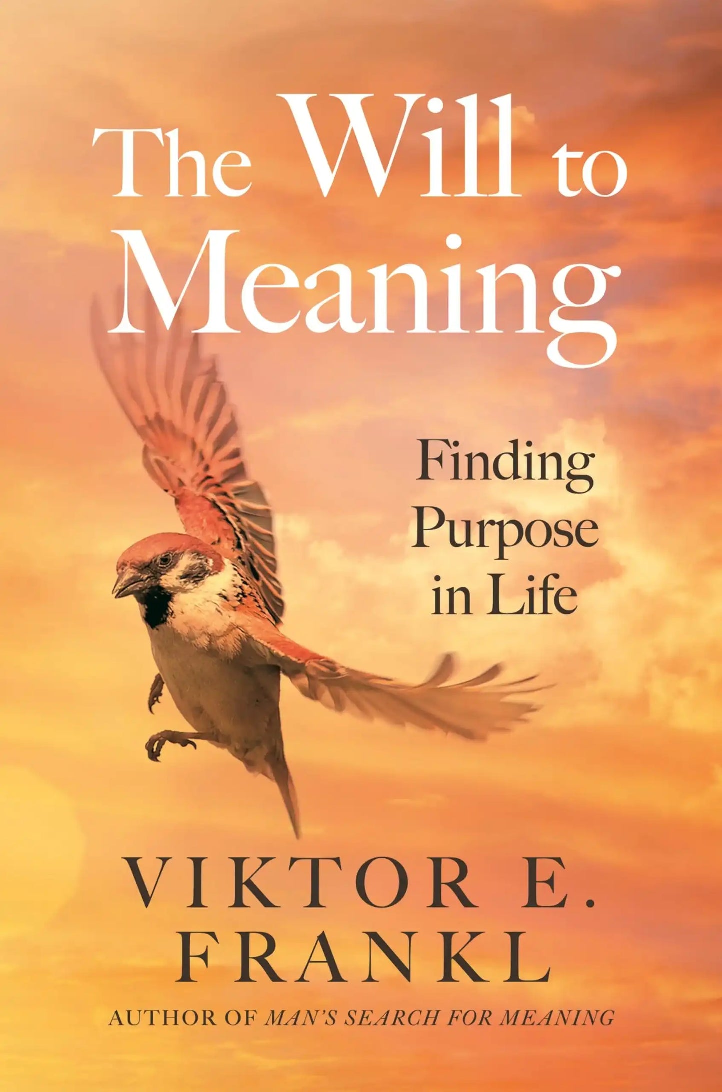 The Will To Meaning