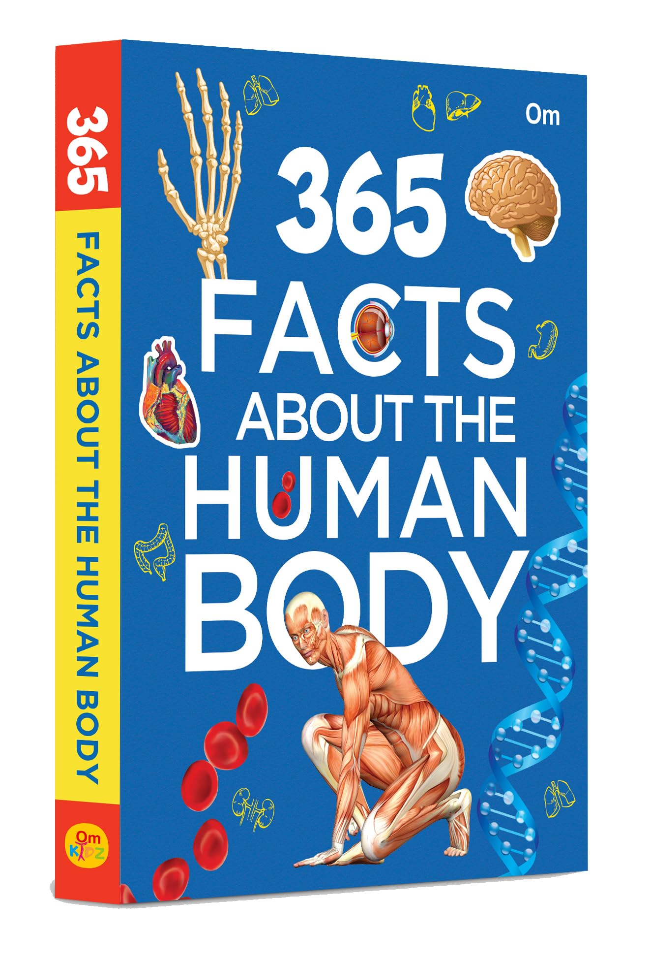 365 Facts About the Human Body: Anatomy & Biology Facts for Kids | Daily Insights into Anatomy, Organs, Senses & More | How the Body Works | Science Made Fun for Children | Ages 8+