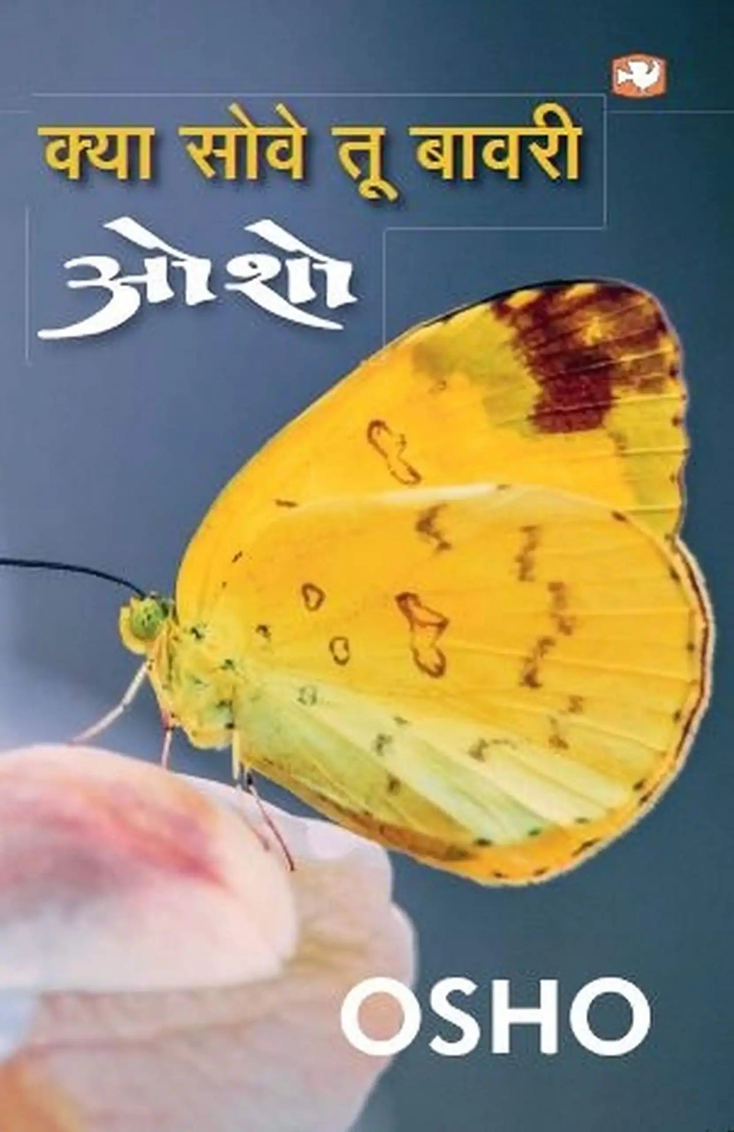 Kya Sove Tu Bawri