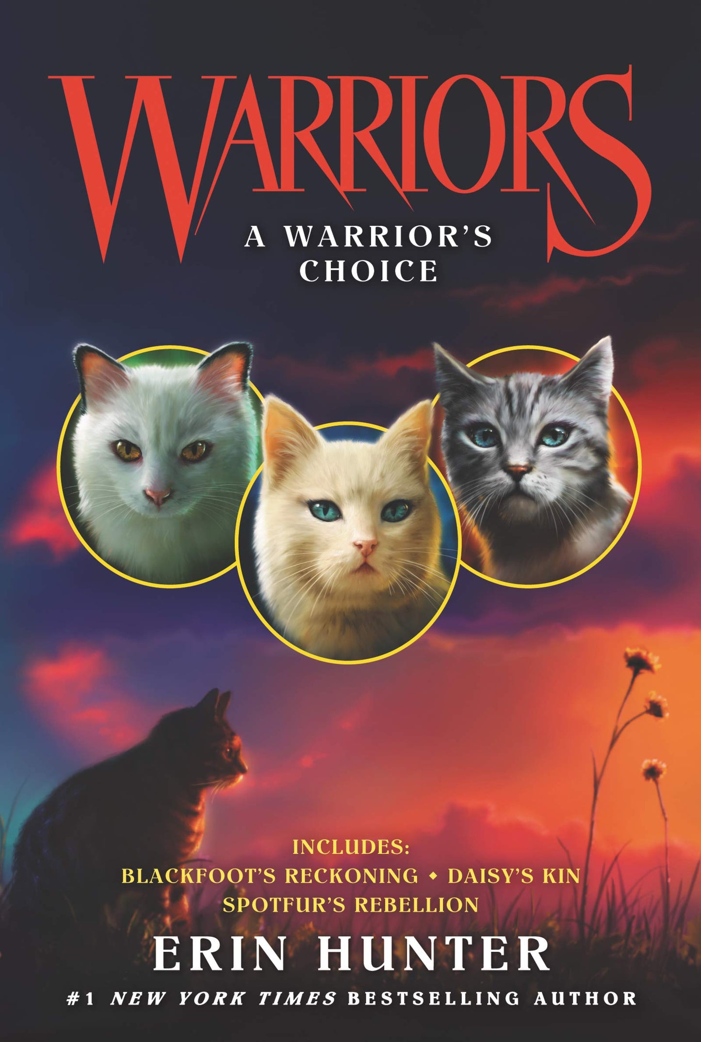 Warriors: A Warrior'S Choice