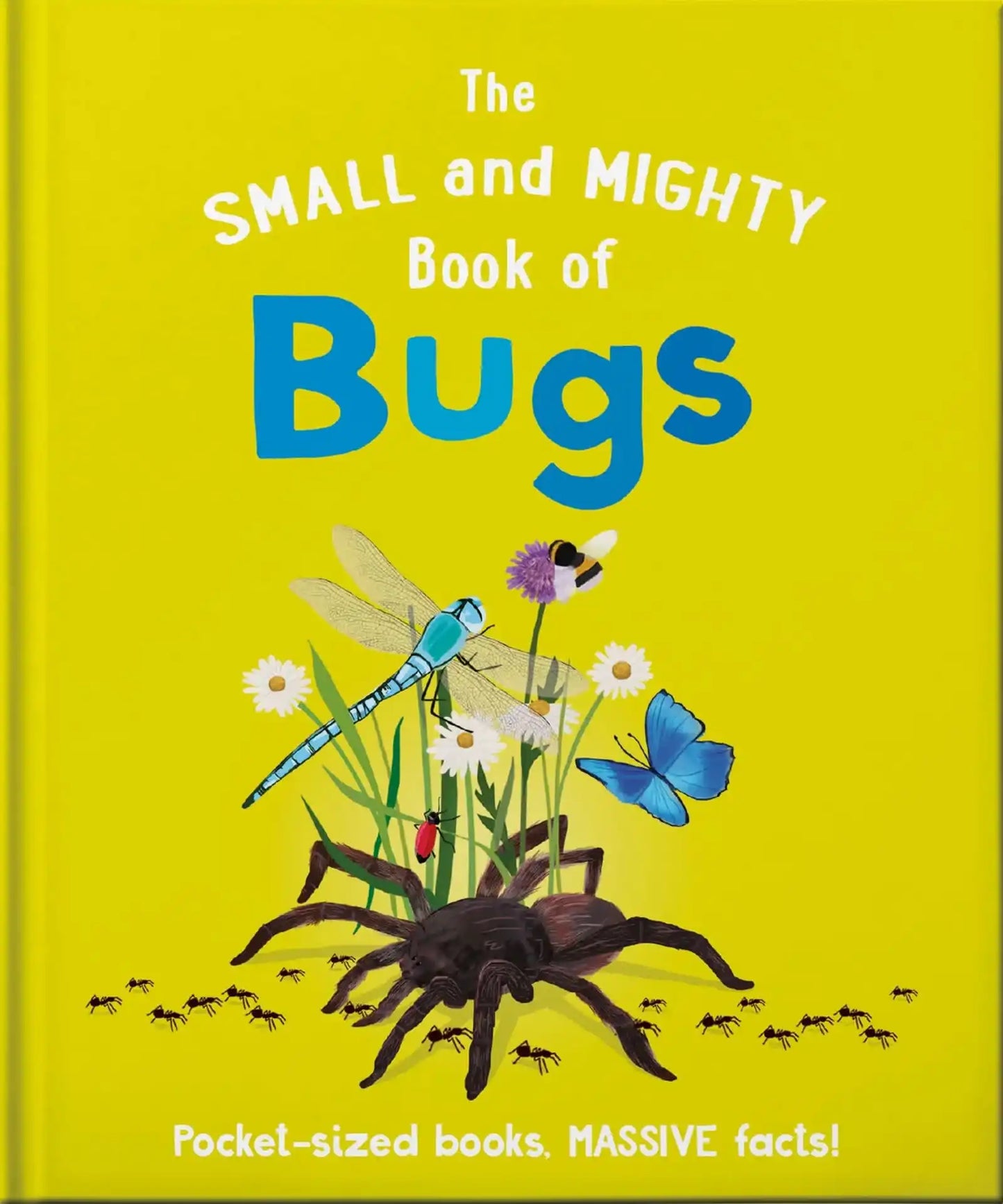 Small And Mighty Book Of Bugs, The