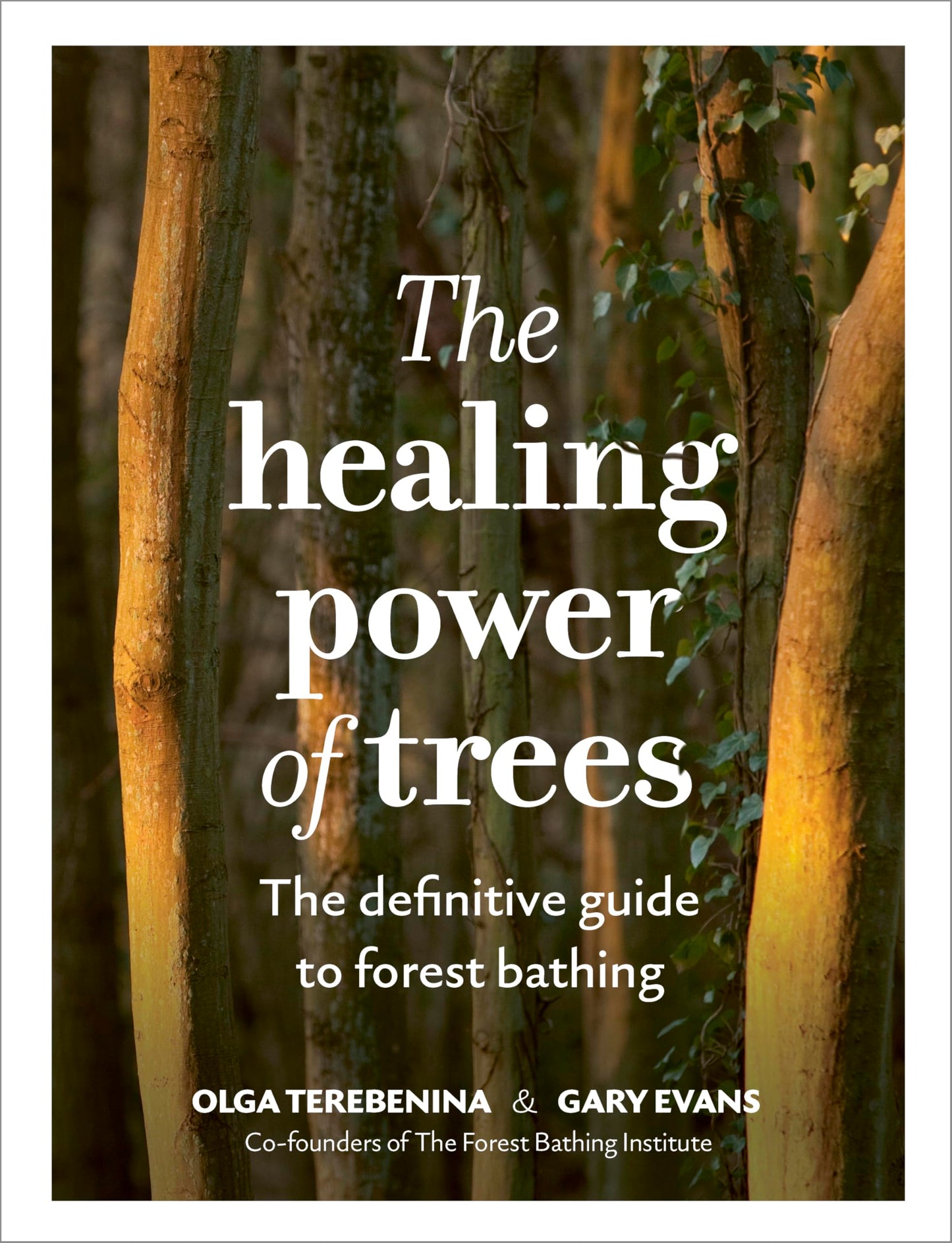 The Healing Power Of Trees