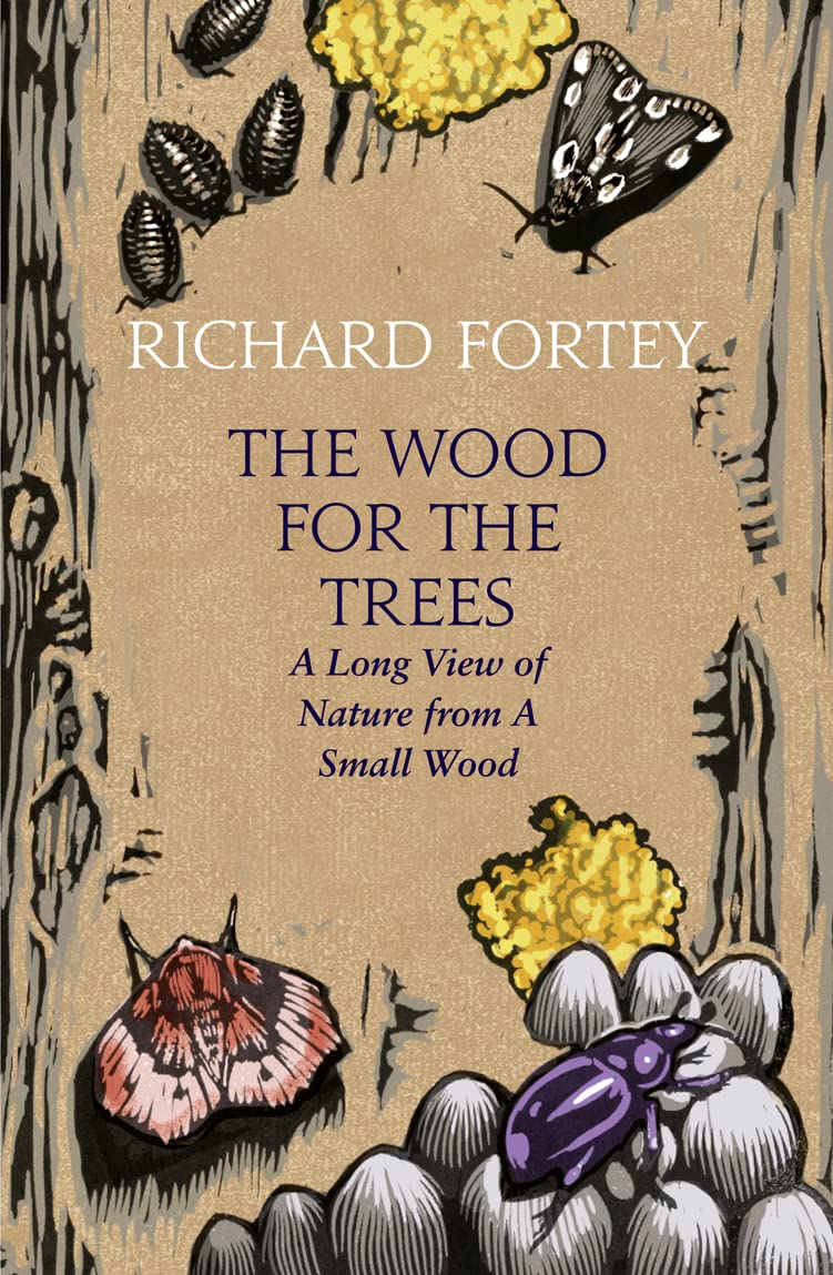 The Wood For The Trees