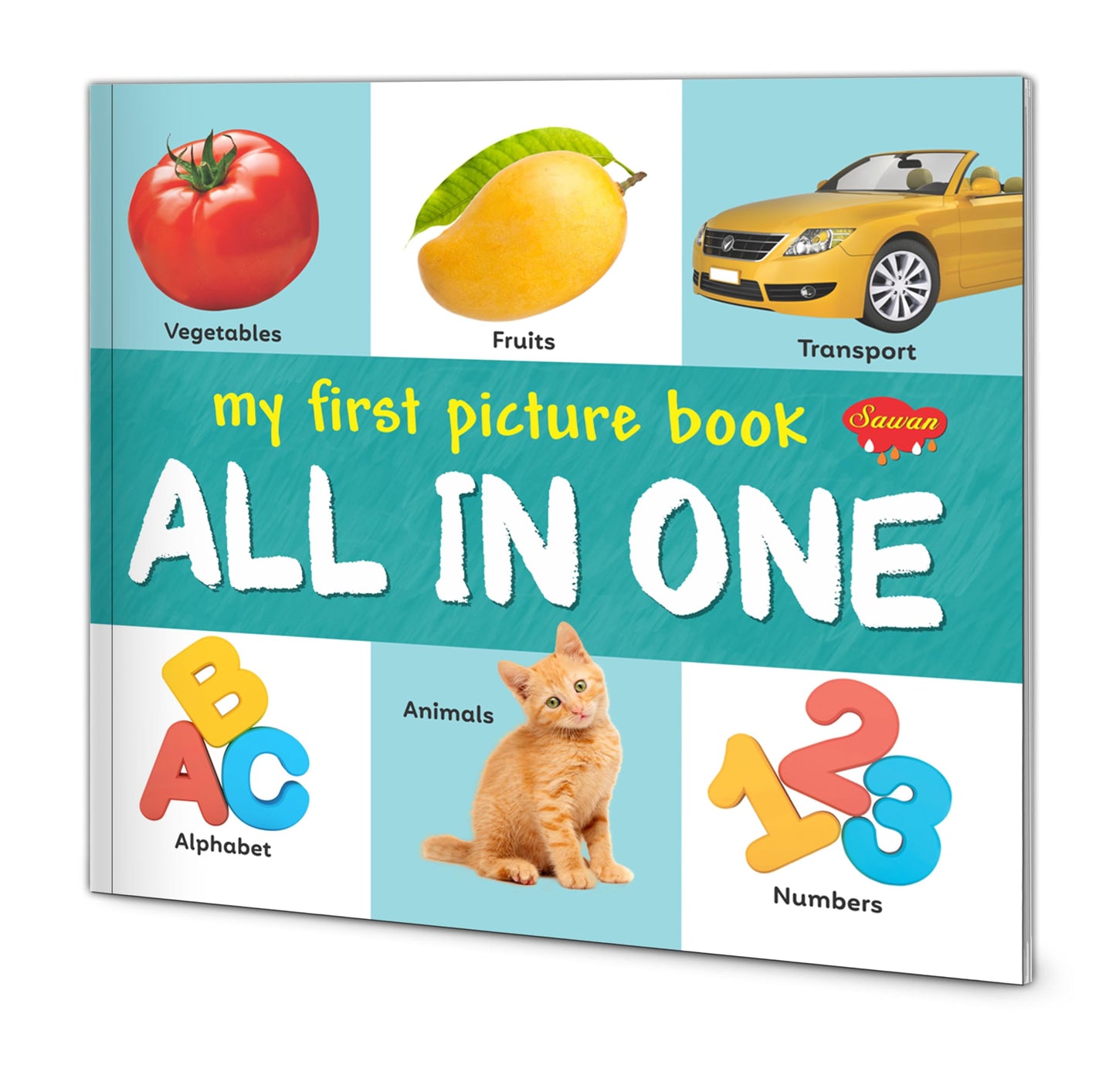 My First Picture Book All In One